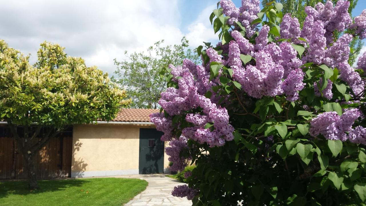 Casa Rural Las Tuyas En Segovia Palazuelos de Eresma Exteriér fotografie